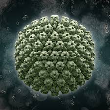 virus image.jpg